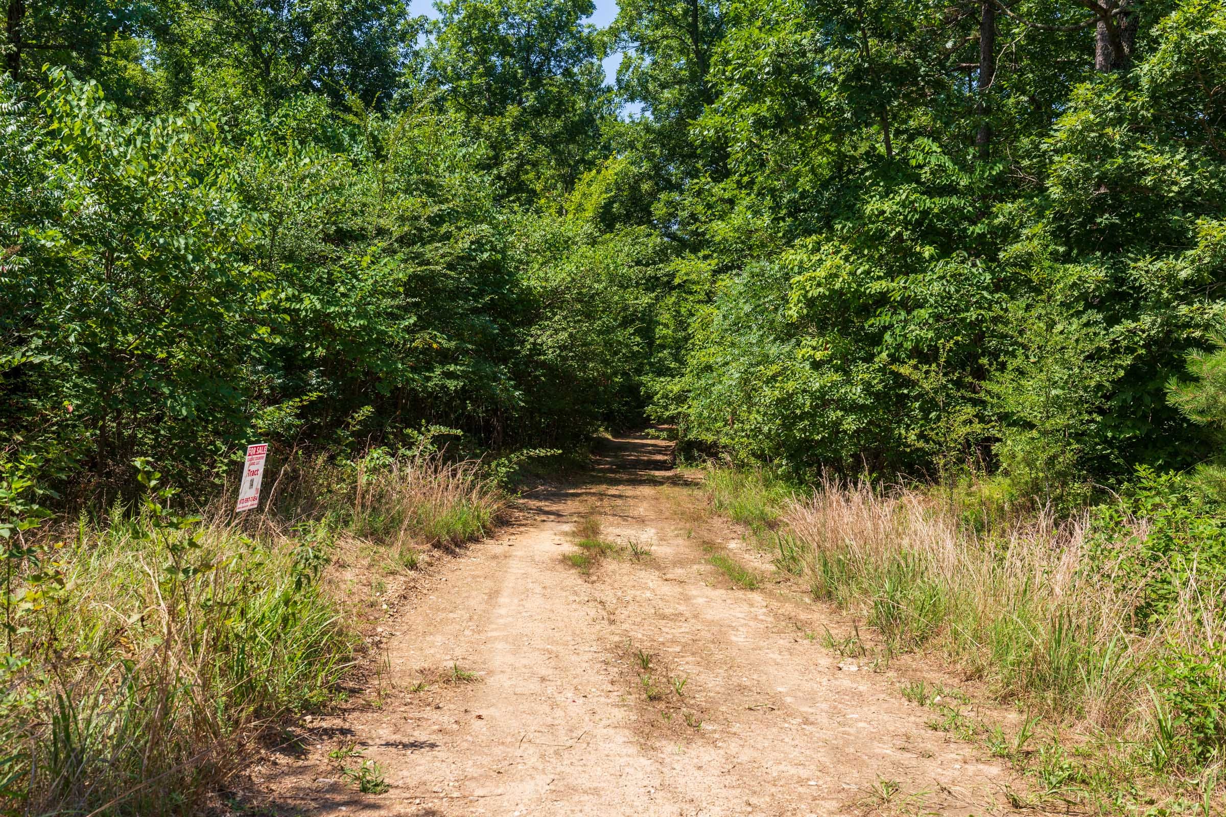 Cypress Ridge Tract 28 photo 12