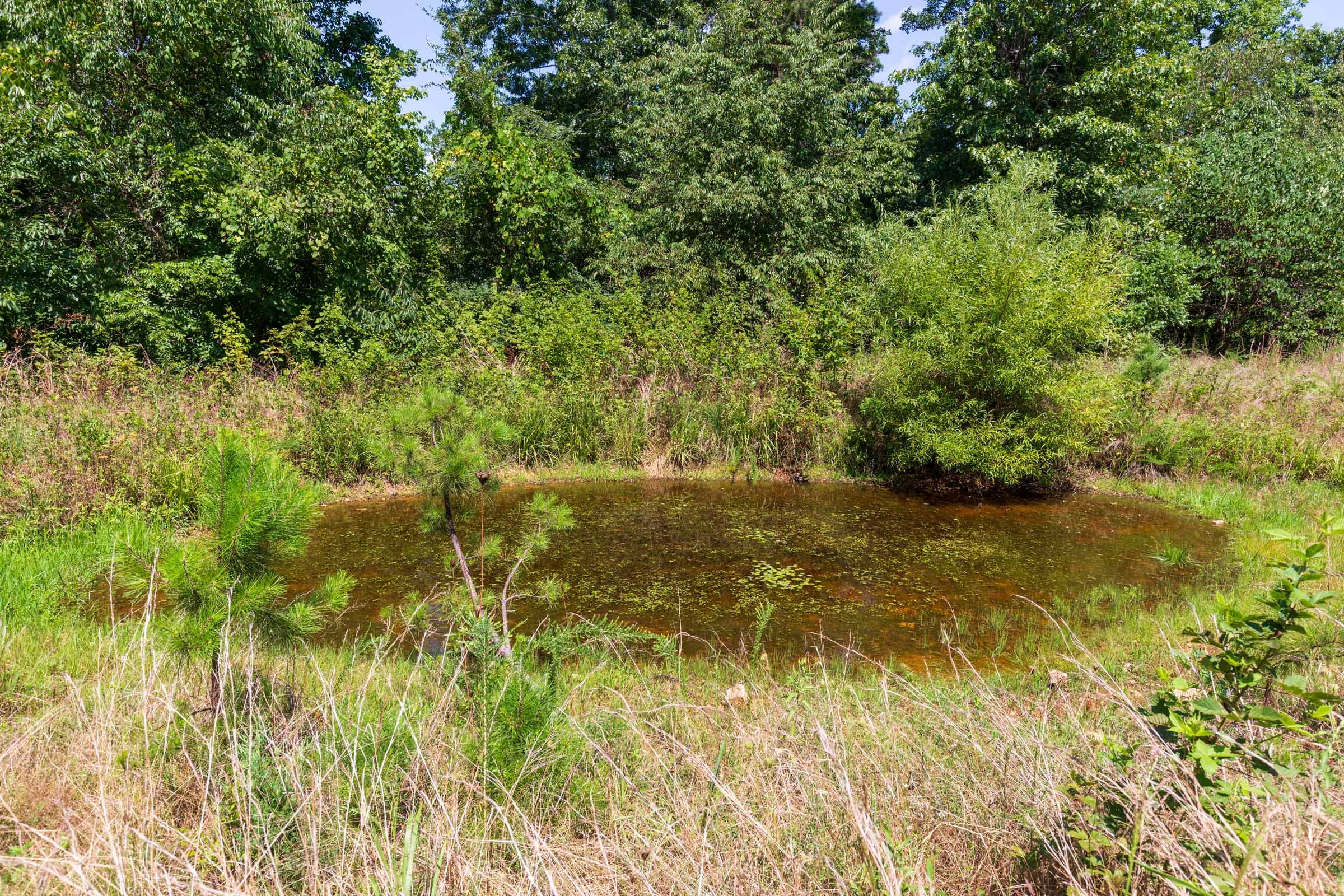 Cypress Ridge Tract 28 photo 2