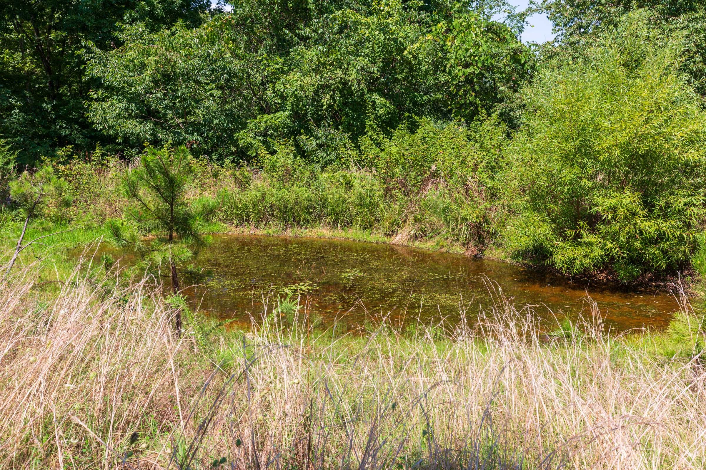 Cypress Ridge Tract 28 photo 3