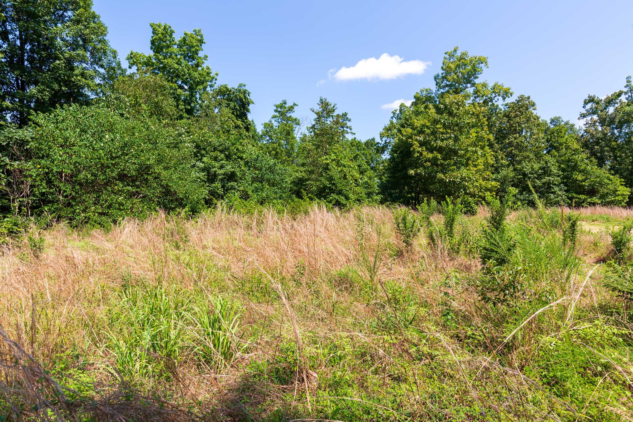 Cypress Ridge Tract 28 photo 9