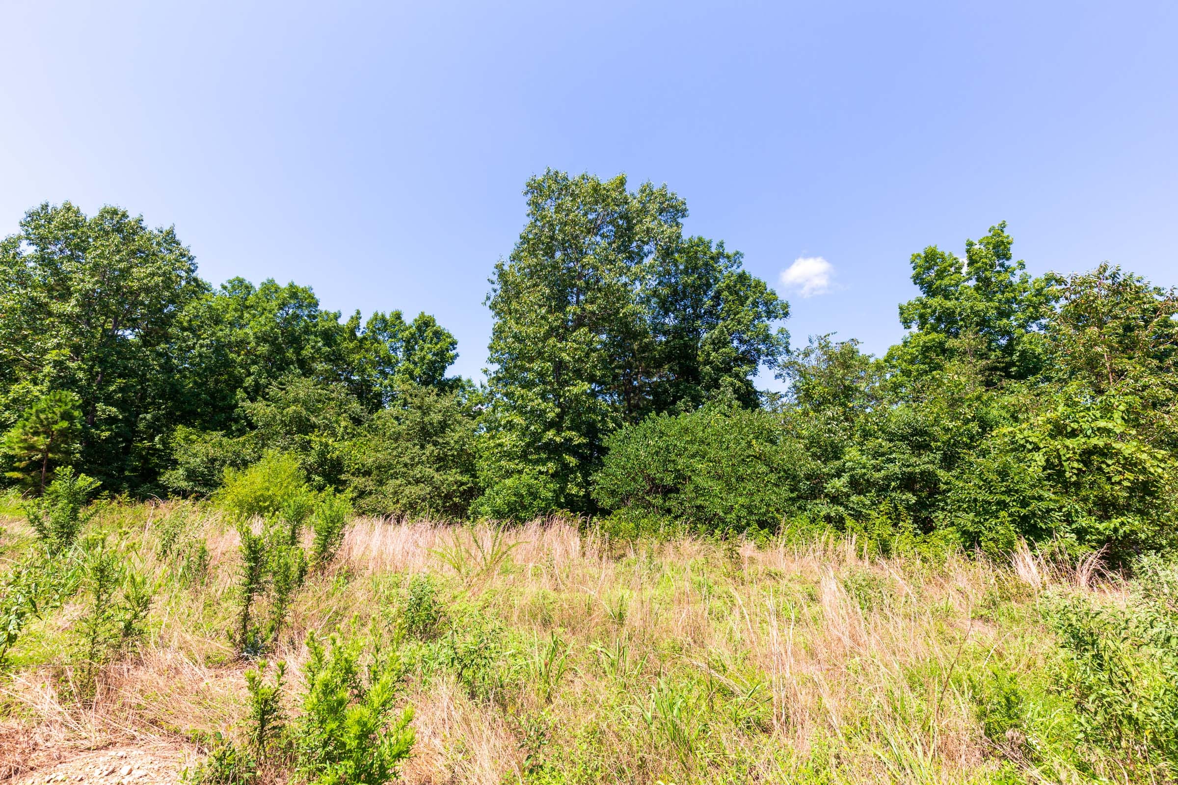 Cypress Ridge Tract 28 photo 11