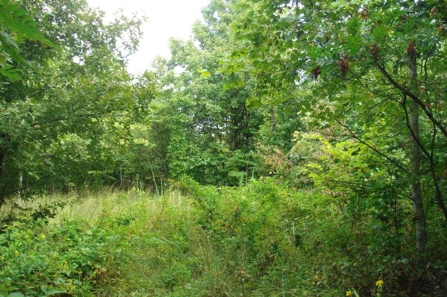 Sugartree Falls Tract 27 photo 2