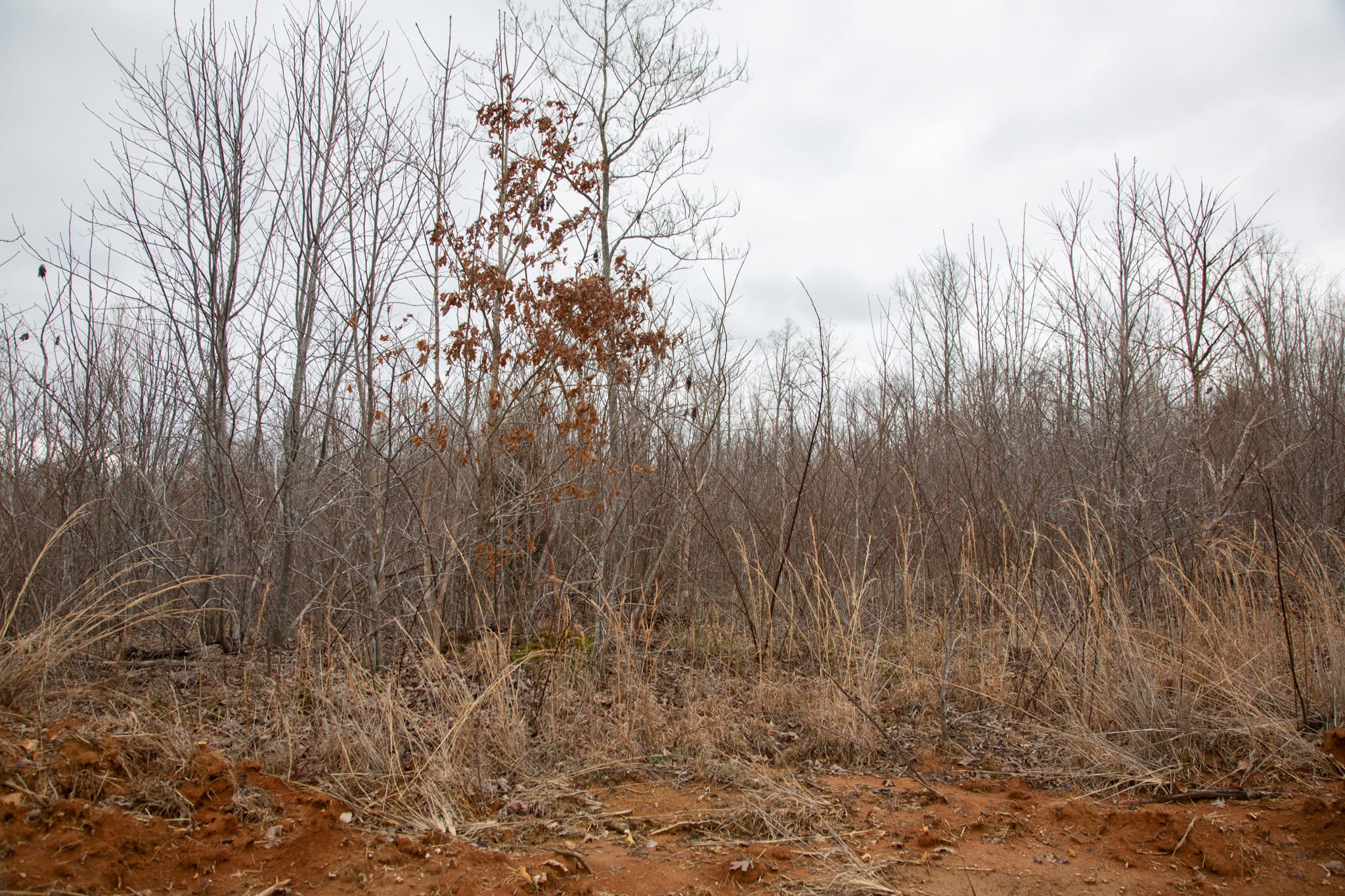 Southwind Ranch Tract 15 photo 4