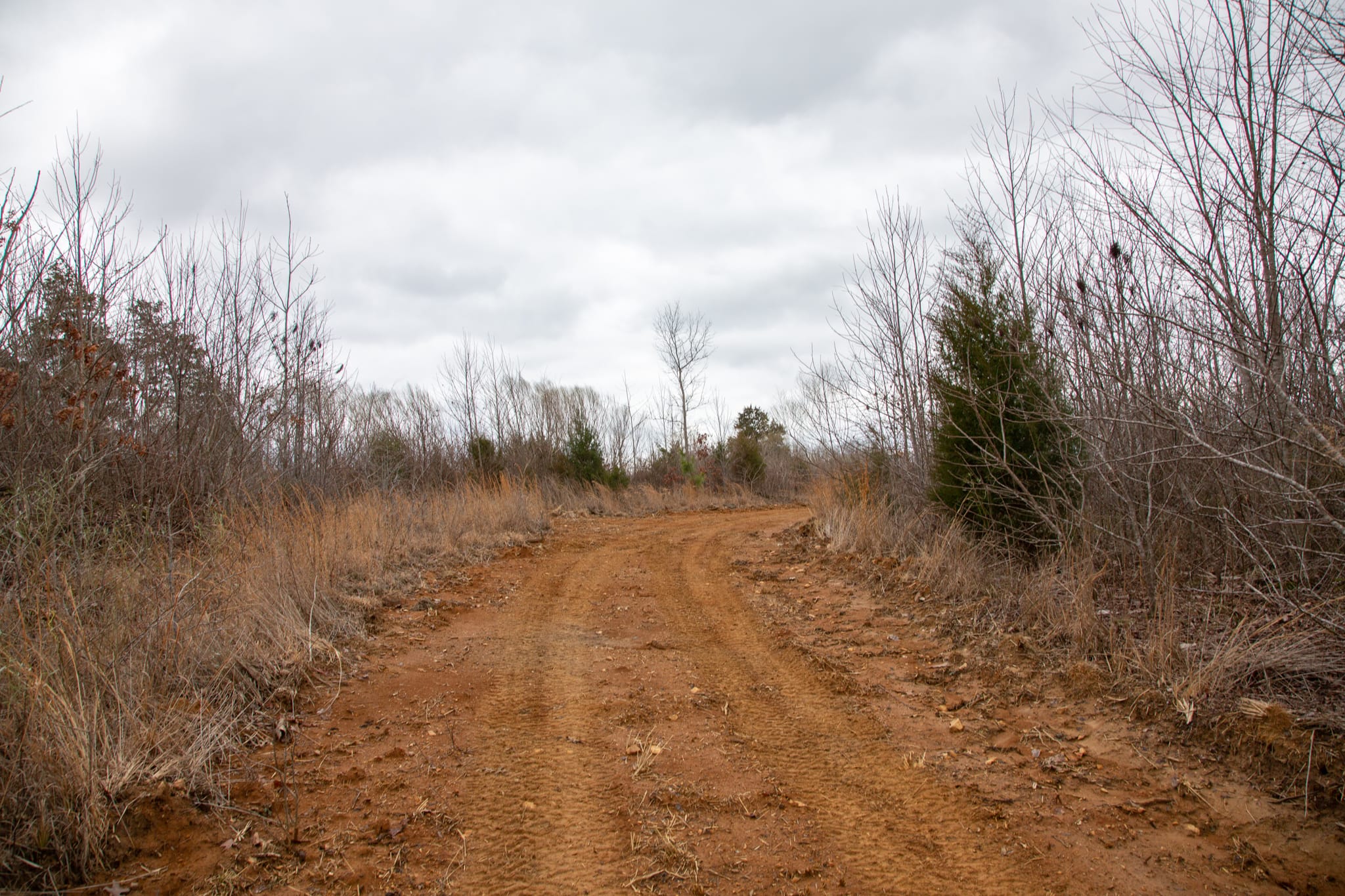 Southwind Ranch Tract 15 photo 8