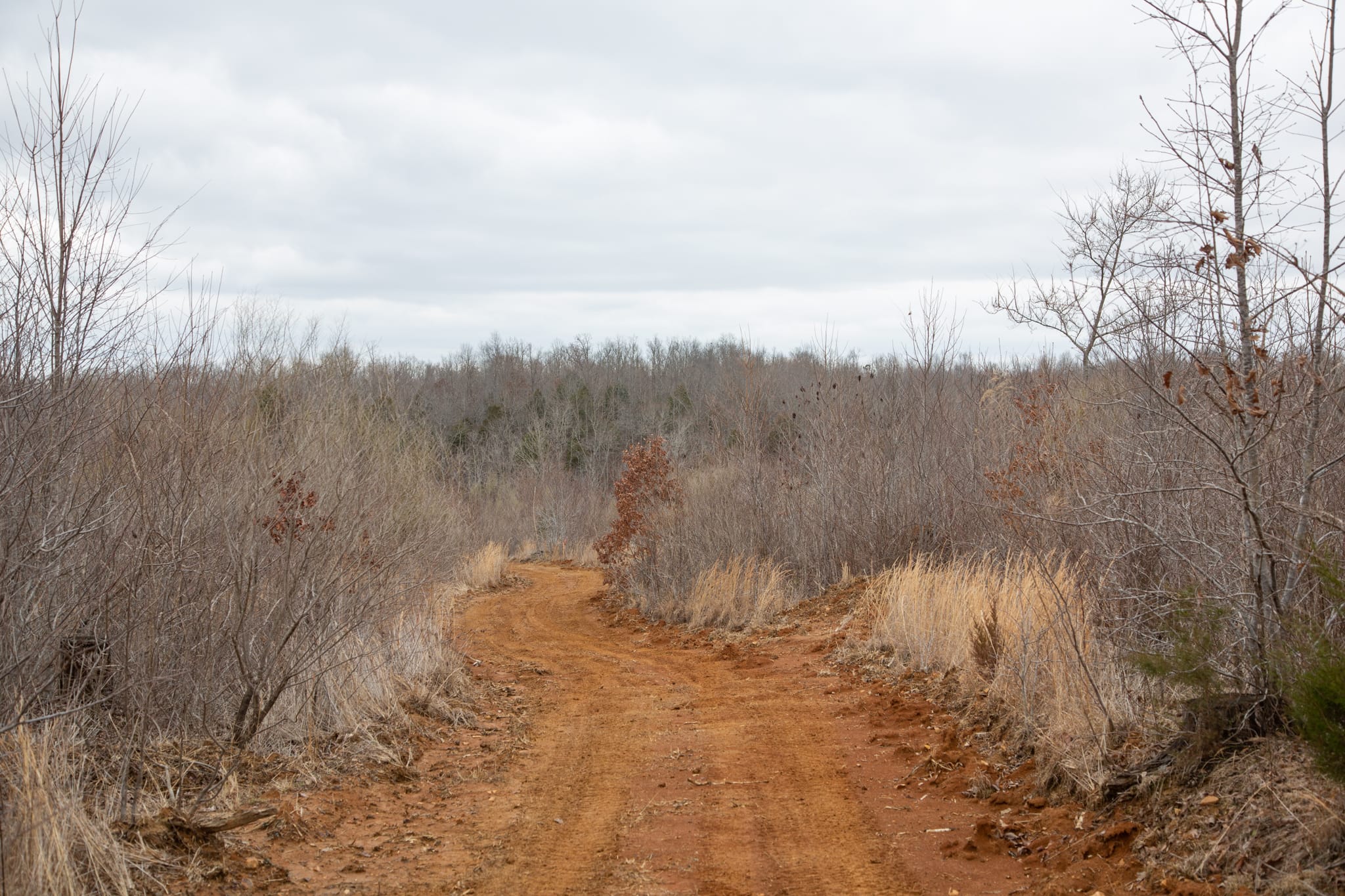 Southwind Ranch Tract 15 photo 11