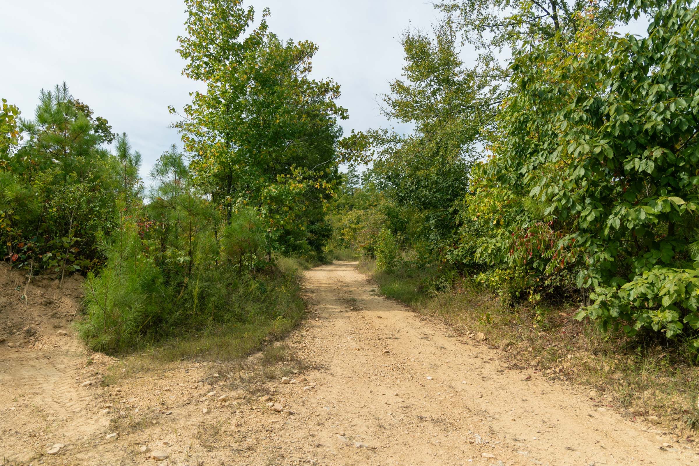 Big White Oak Tract 47 photo 1