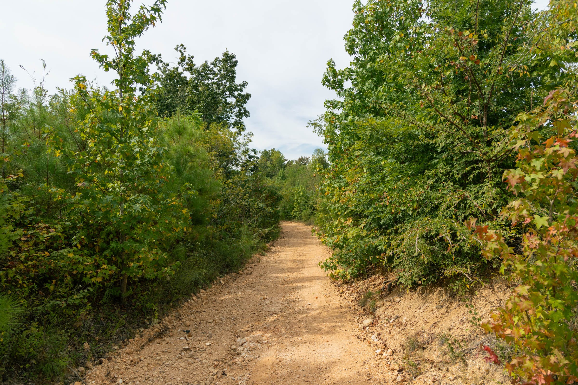 Big White Oak Tract 47 photo 2