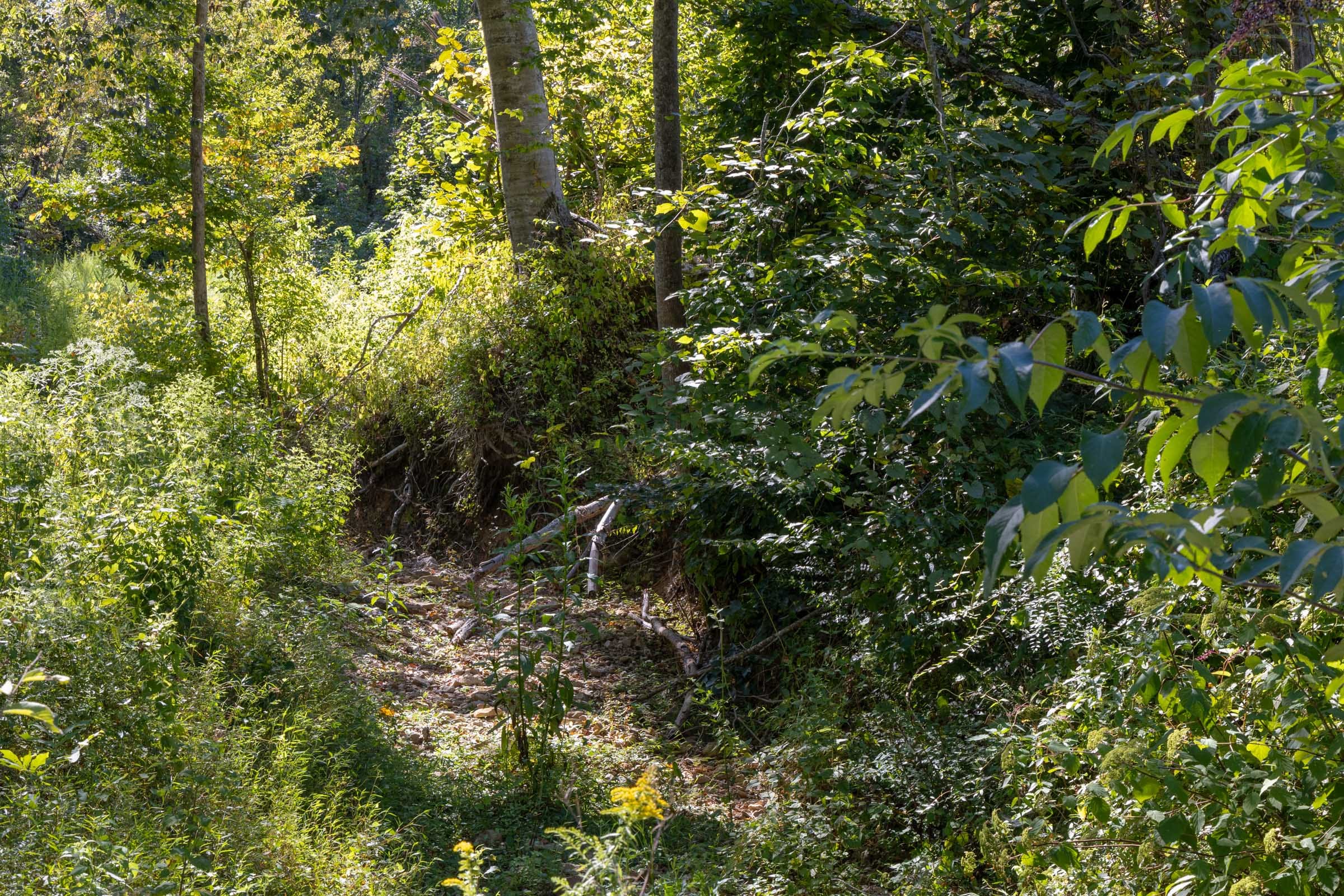 Big White Oak Tract 12 photo 8
