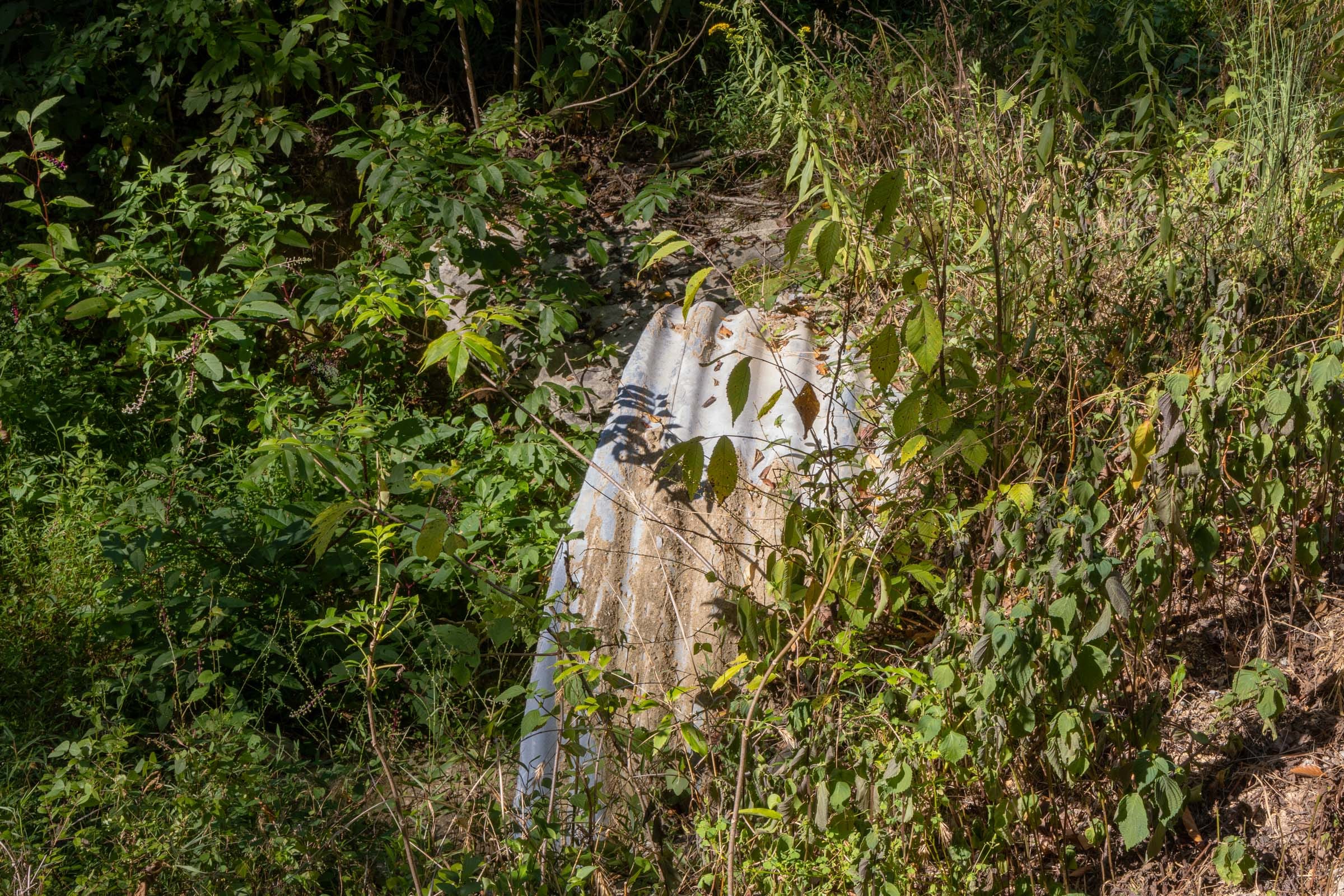 Big White Oak Tract 12 photo 4