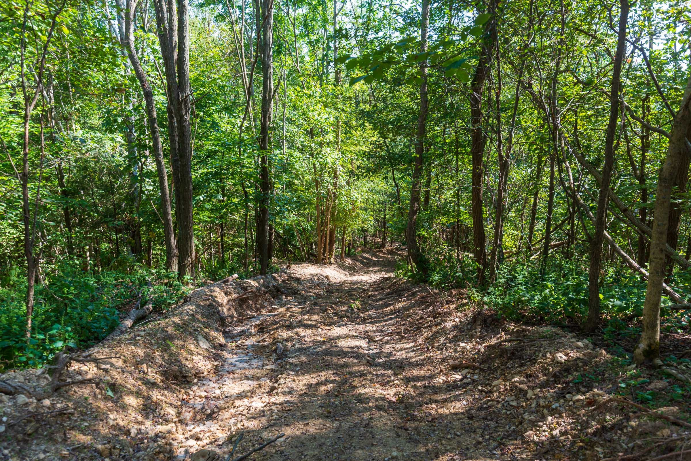 Redemption Ridge Tract 14 photo 5