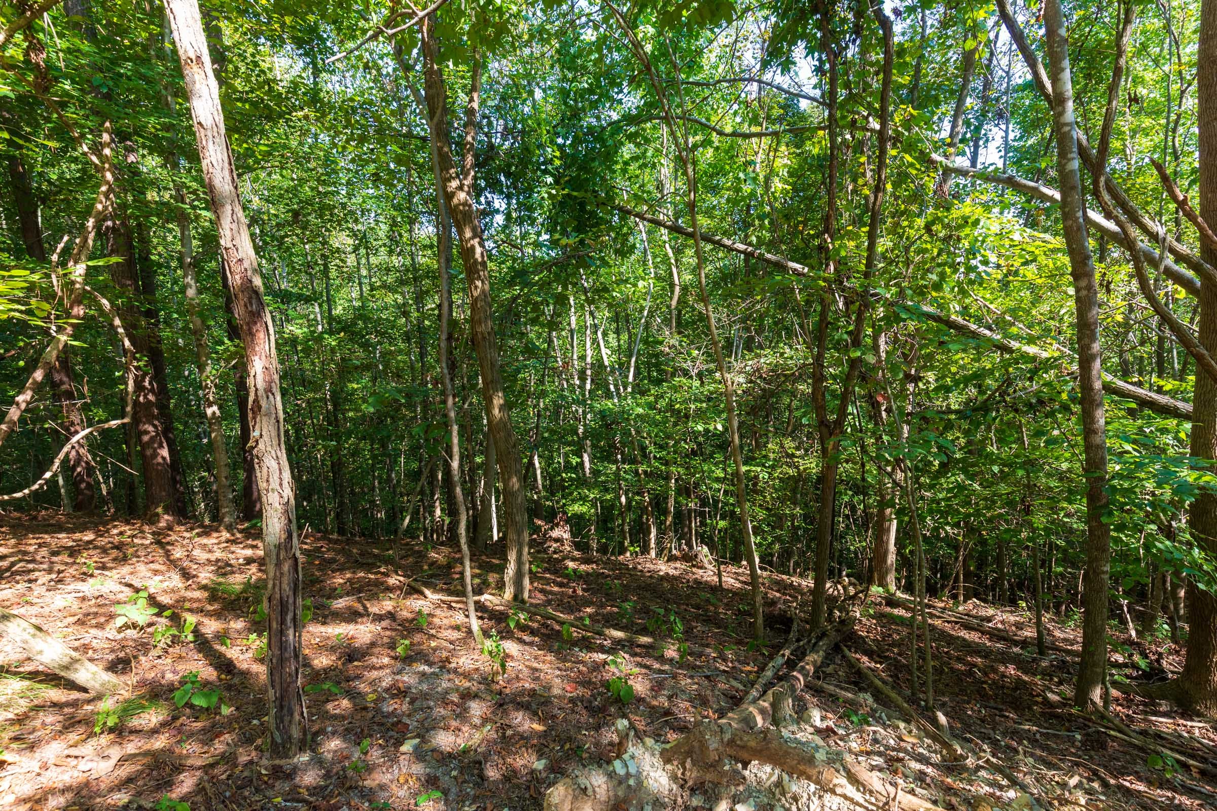 Redemption Ridge Tract 14 photo 3