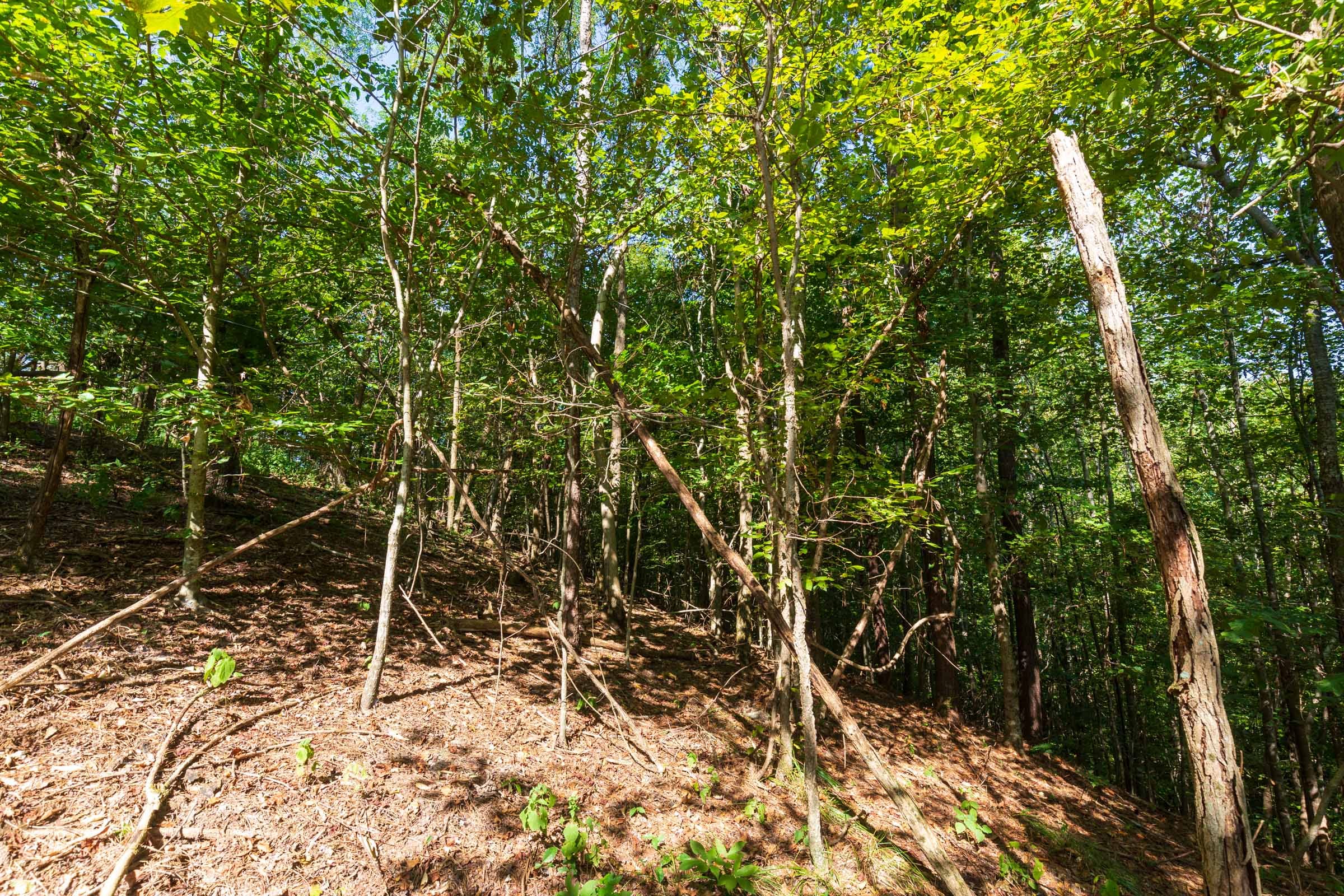 Redemption Ridge Tract 14 photo 6