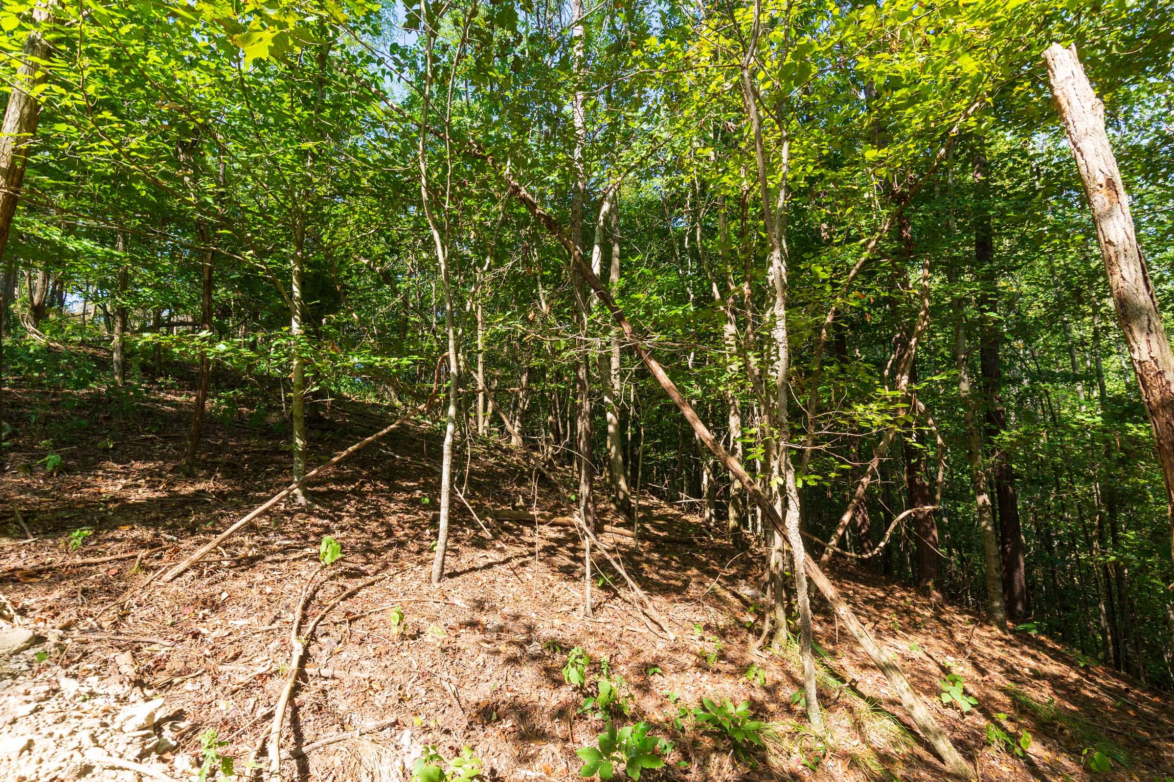Redemption Ridge Tract 14 photo 8