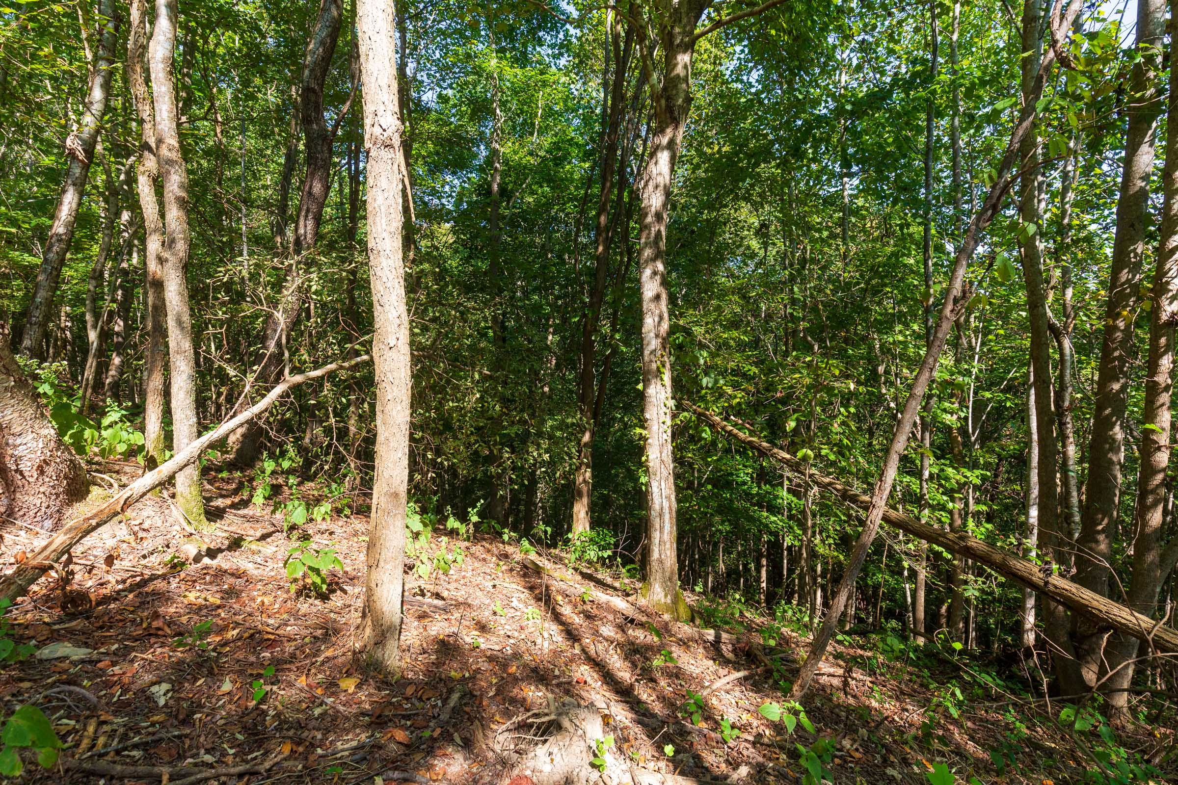 Redemption Ridge Tract 14 photo 9