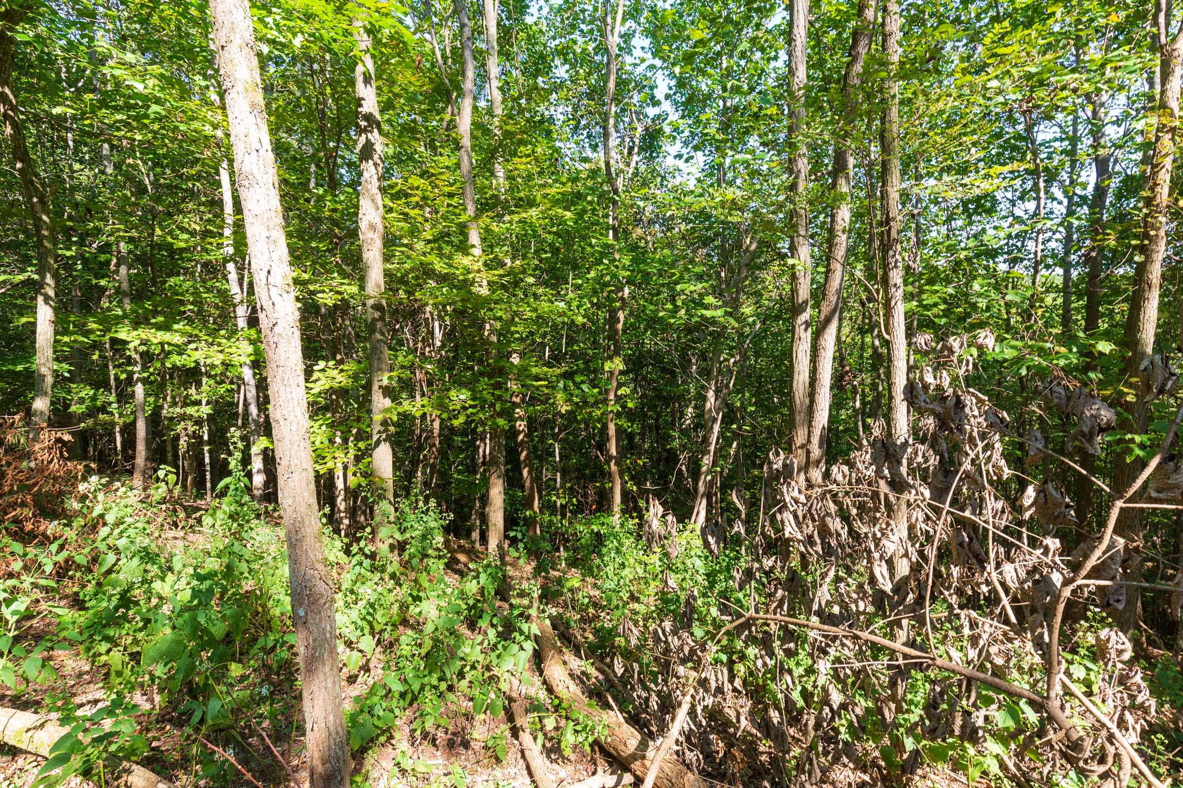 Redemption Ridge Tract 14 photo 12