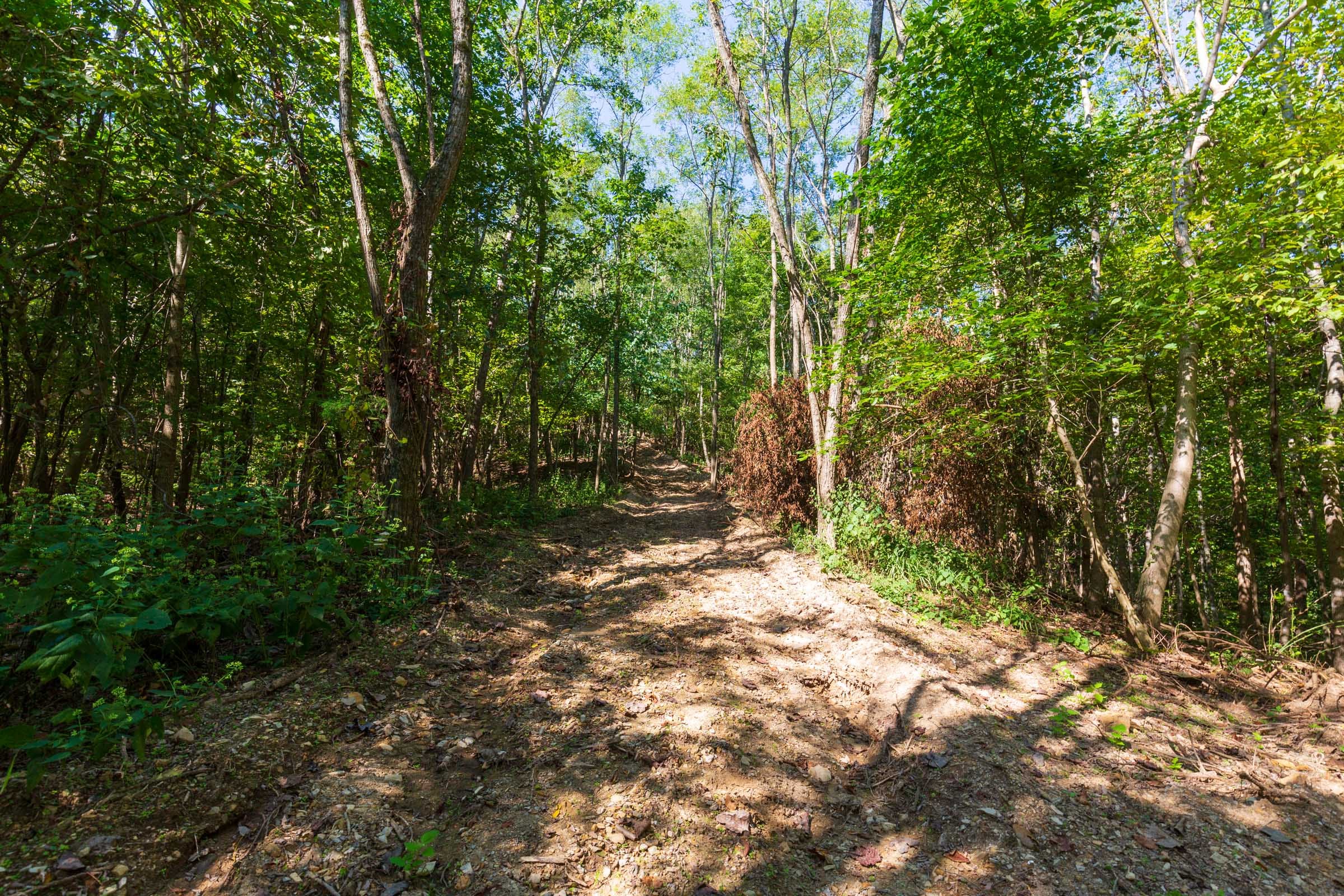 Redemption Ridge Tract 14 photo 10