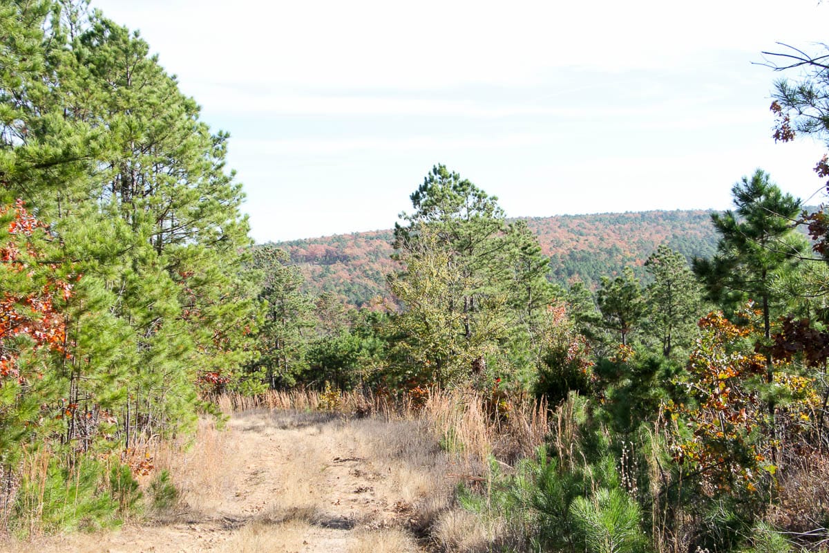Stone Creek Phase III Tract 33 photo 1