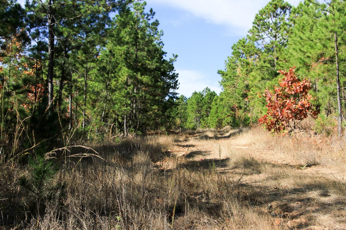 Stone Creek Phase III Tract 33 photo 8