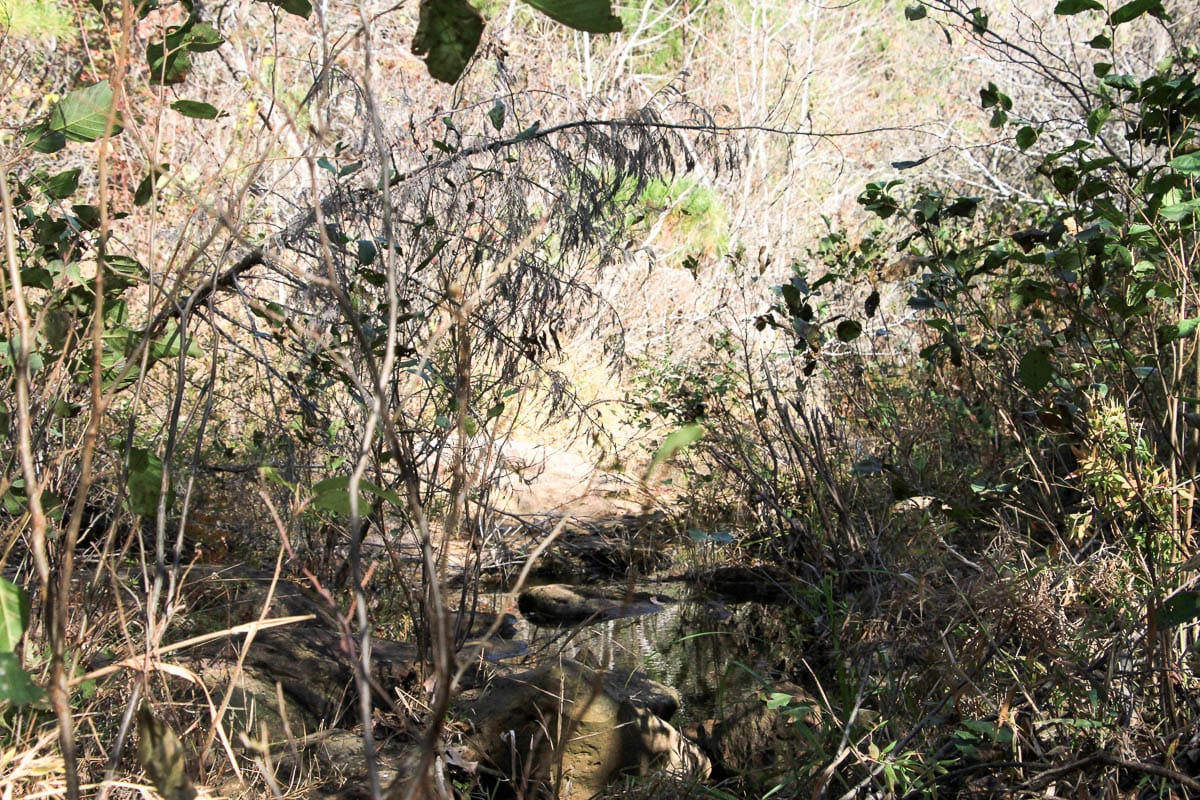 Stone Creek Phase III Tract 33 photo 9
