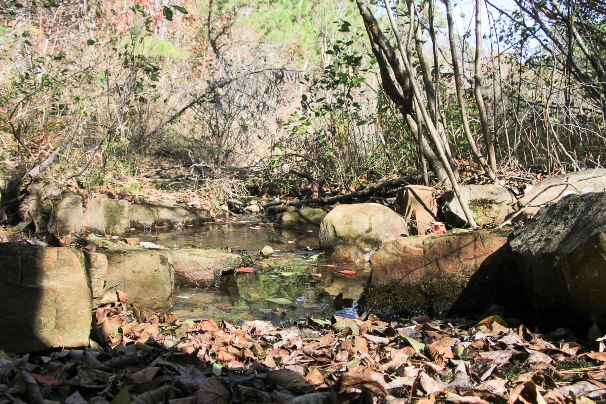 Stone Creek Phase III Tract 33 photo 10
