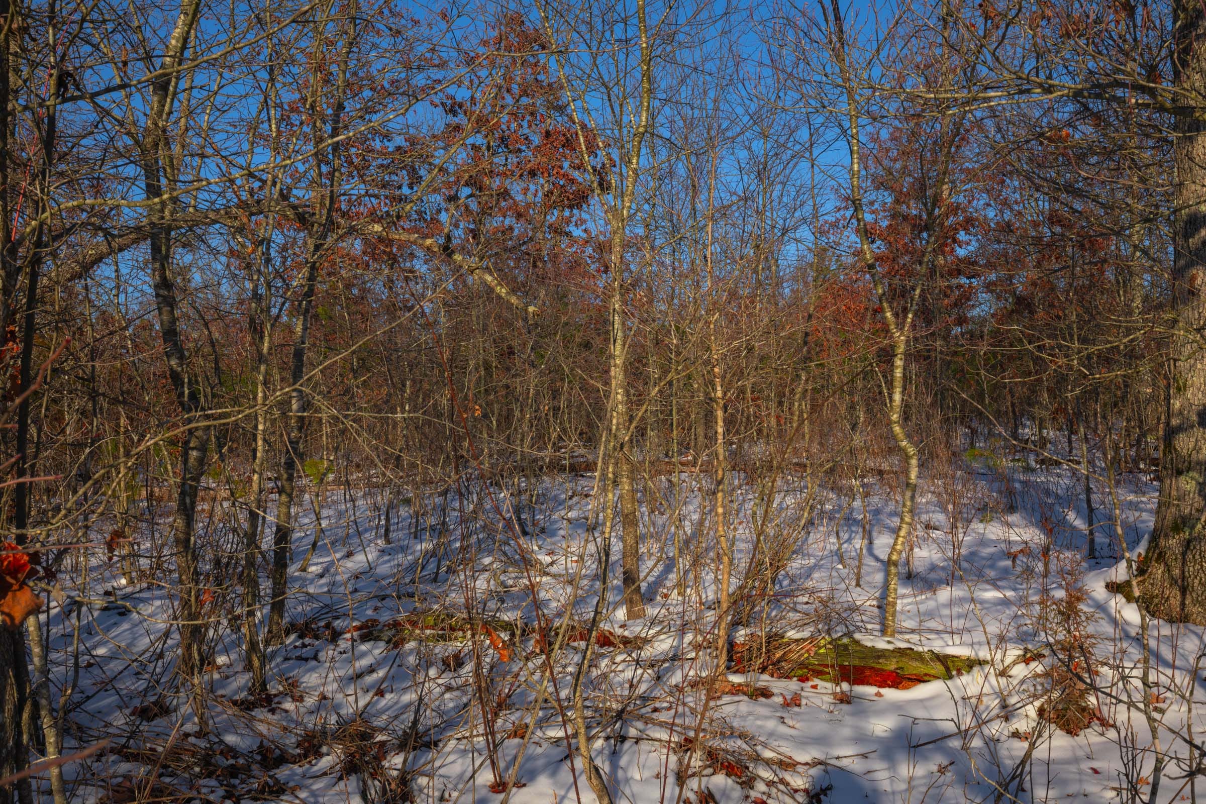 Sleepy Hollow Phase I Tract 42 photo 11