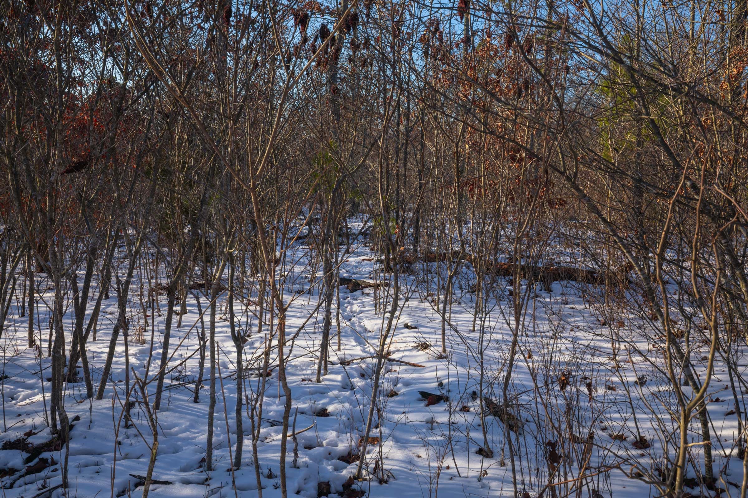 Sleepy Hollow Phase I Tract 42 photo 5