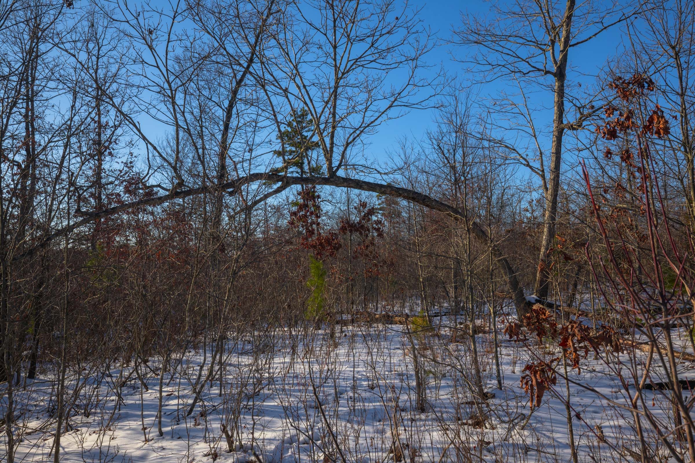 Sleepy Hollow Phase I Tract 42 photo 9