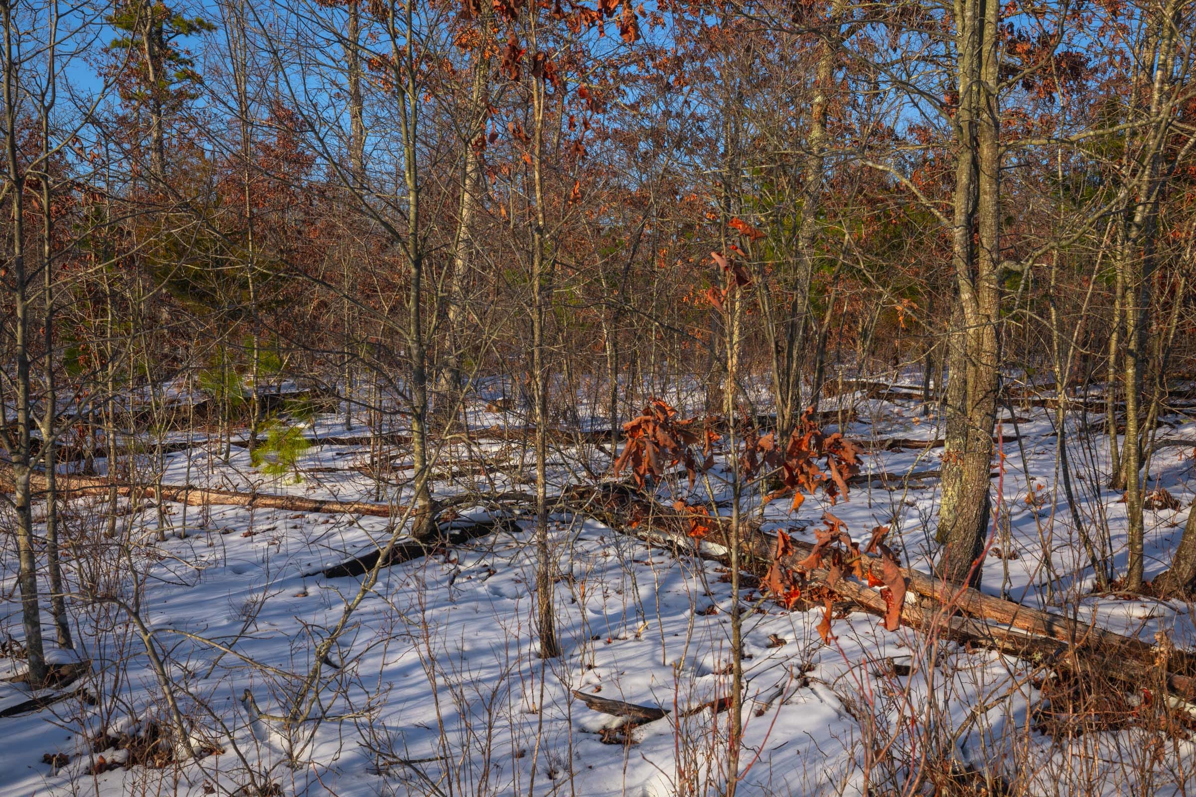 Sleepy Hollow Phase I Tract 42 photo 7