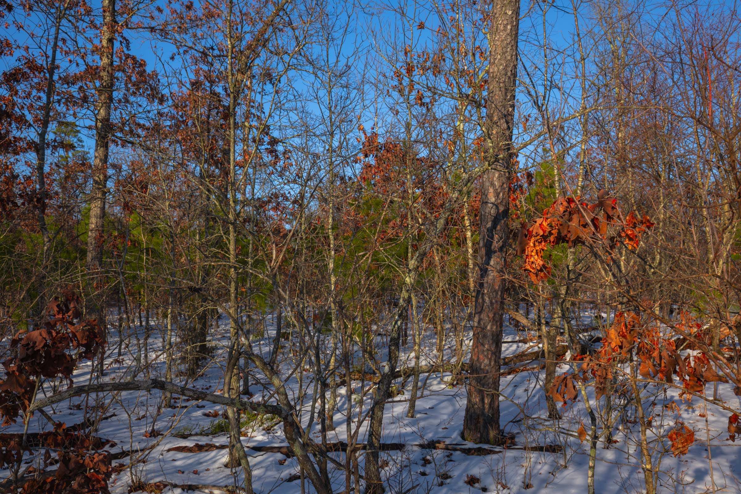Sleepy Hollow Phase I Tract 42 photo 4