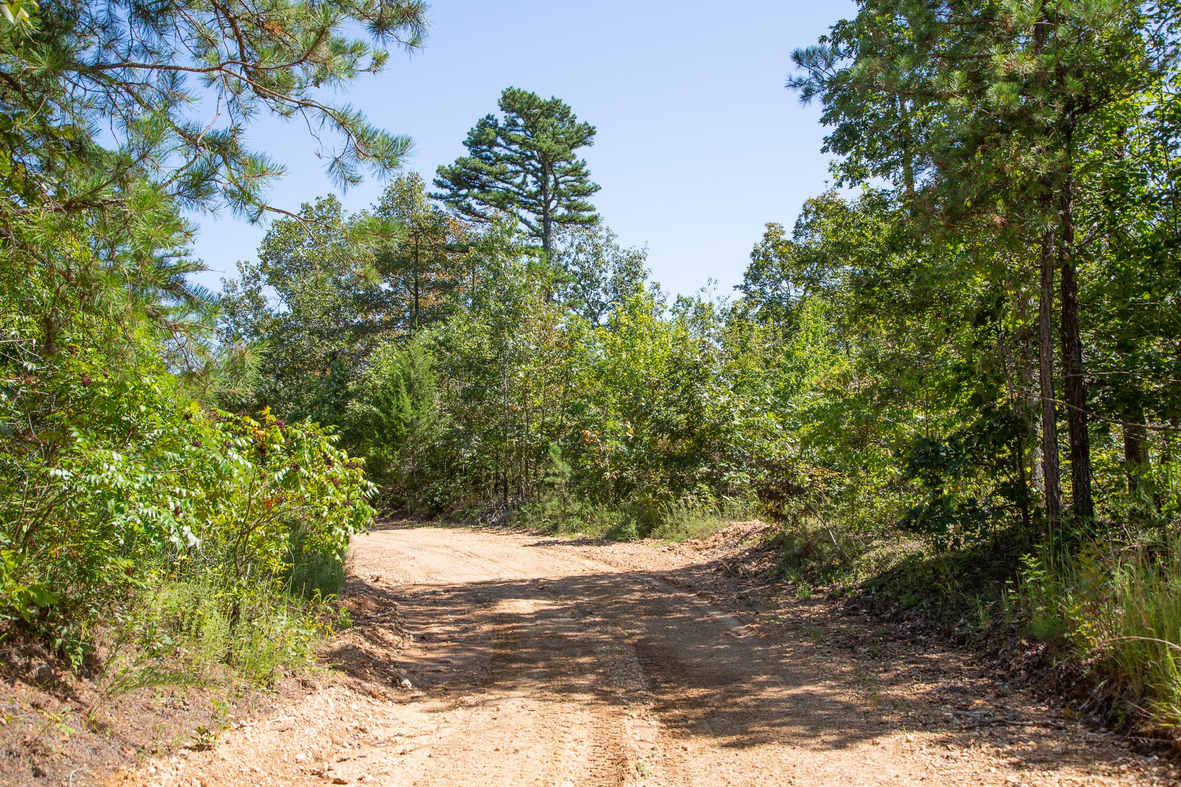 Borgmann’s Hollow Phase III Tract 85 photo 1