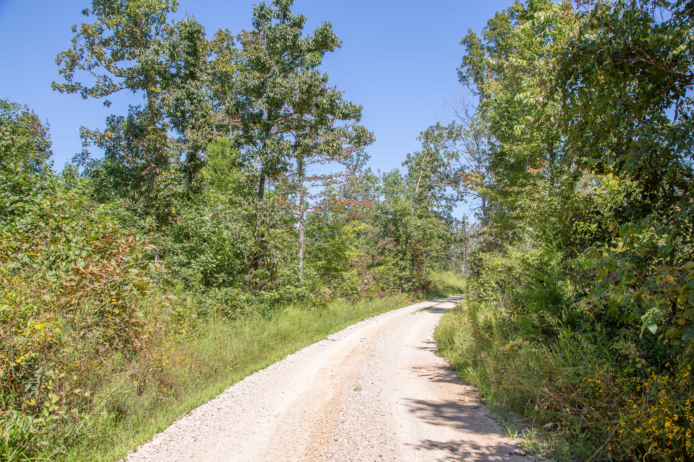Borgmann’s Hollow Phase III Tract 85 photo 6