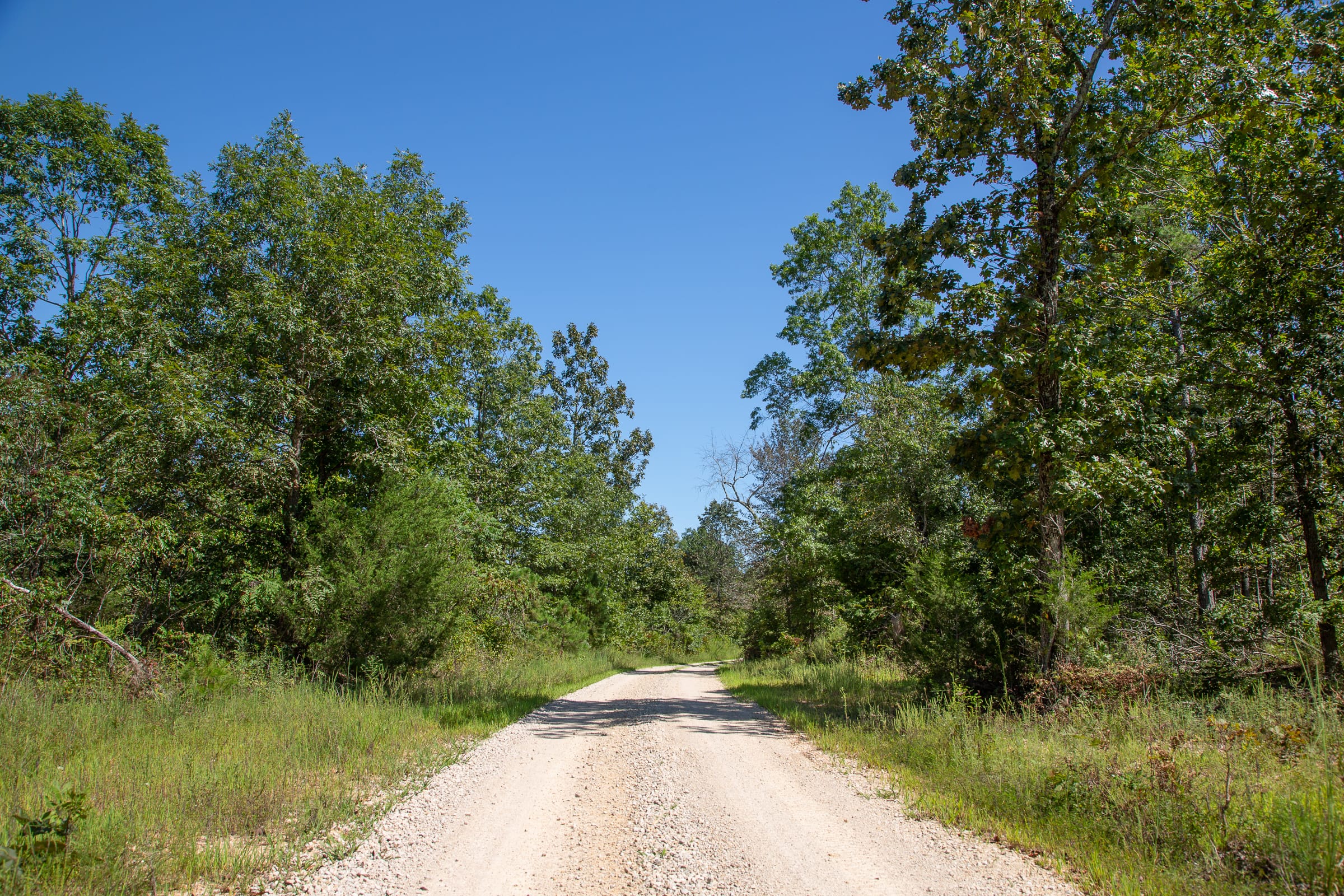 Borgmann’s Hollow Phase III Tract 85 photo 12