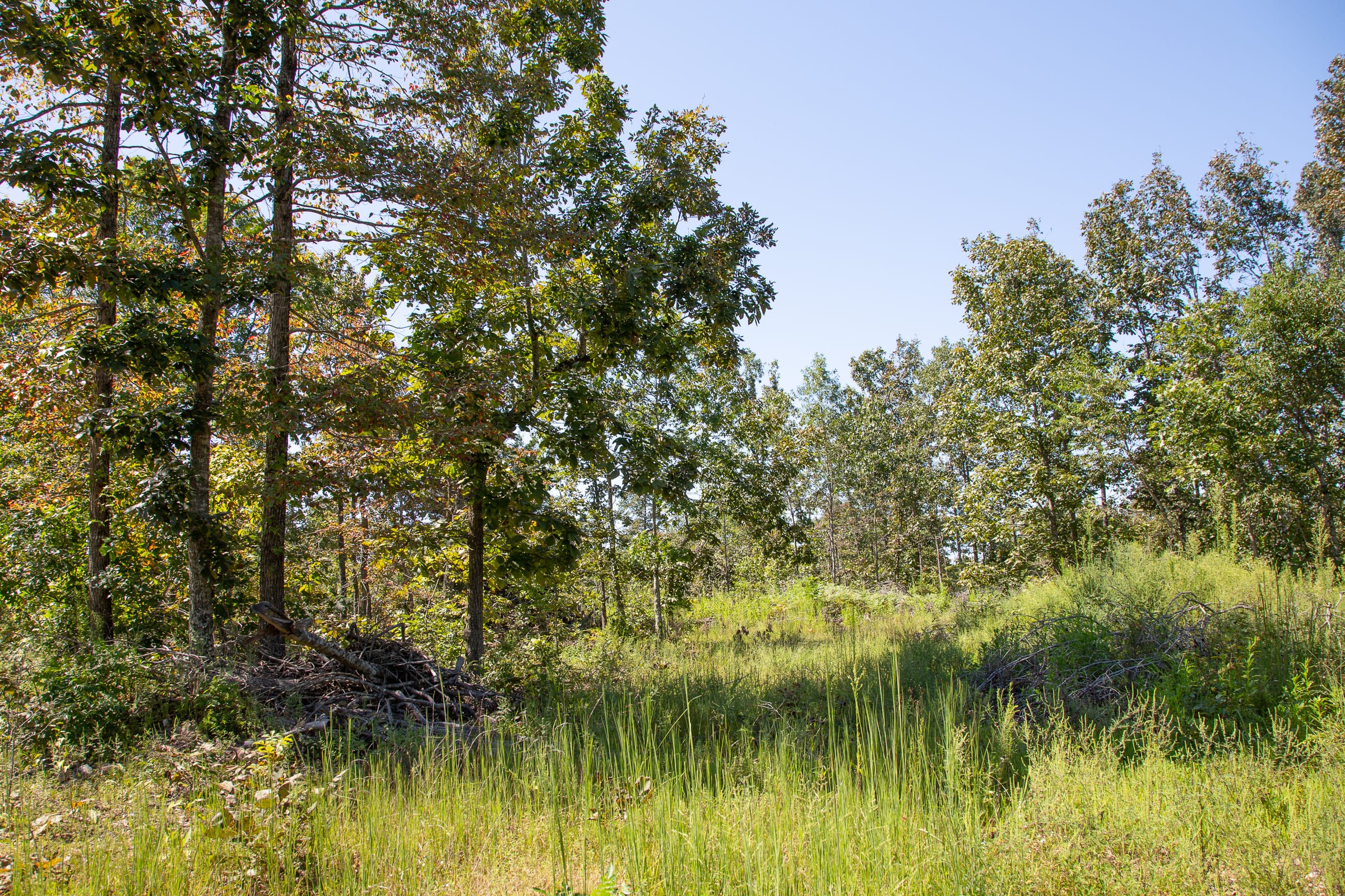 Borgmann’s Hollow Phase III Tract 85 photo 11