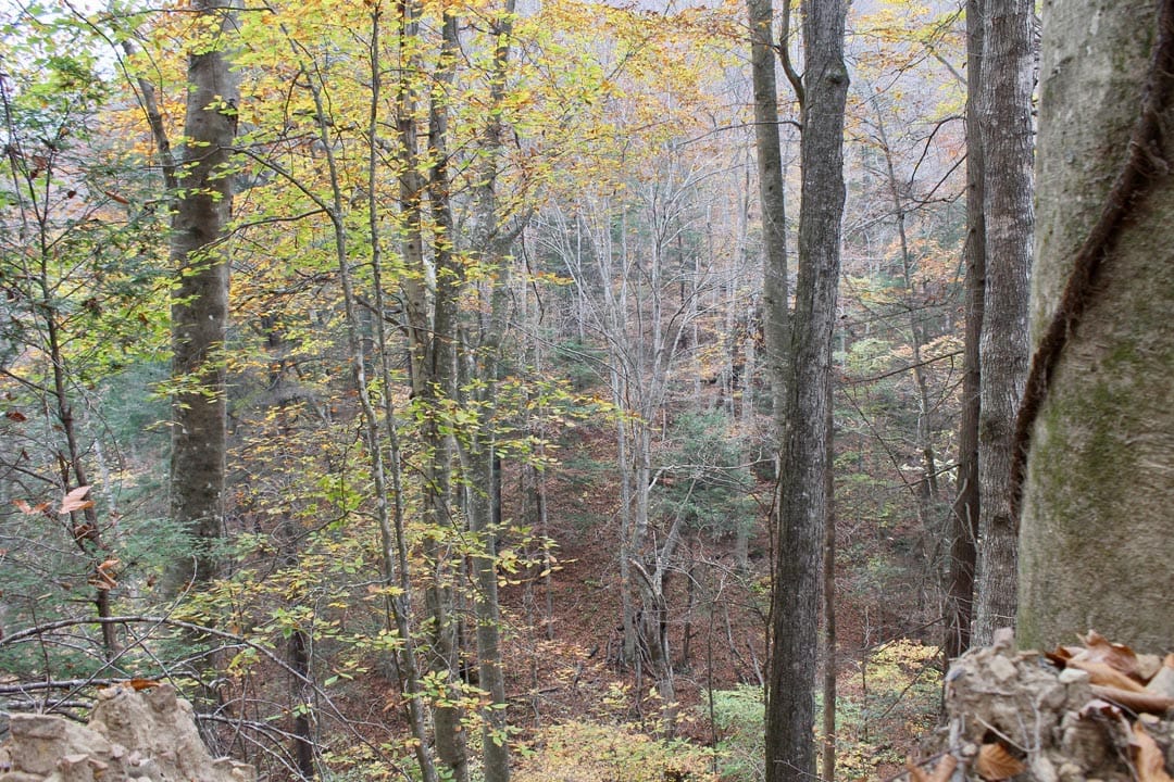 Autumn Ridge Tract 2 photo 1