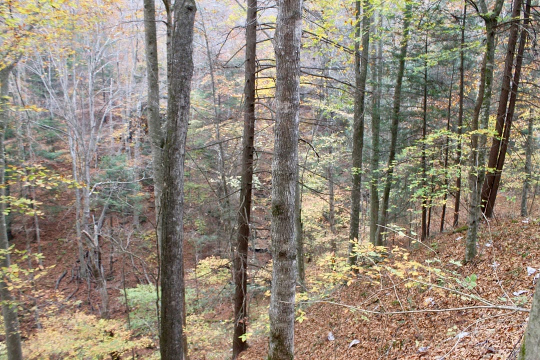 Autumn Ridge Tract 2 photo 2