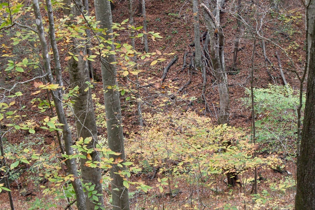 Autumn Ridge Tract 2 photo 3