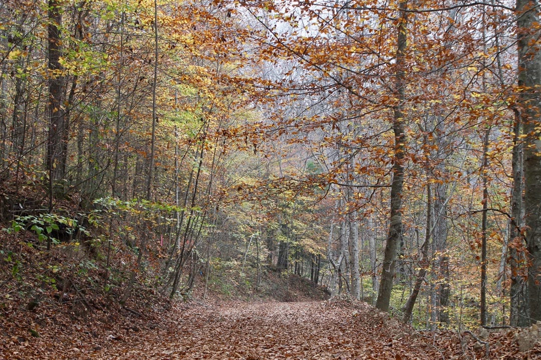 Autumn Ridge Tract 2 photo 4