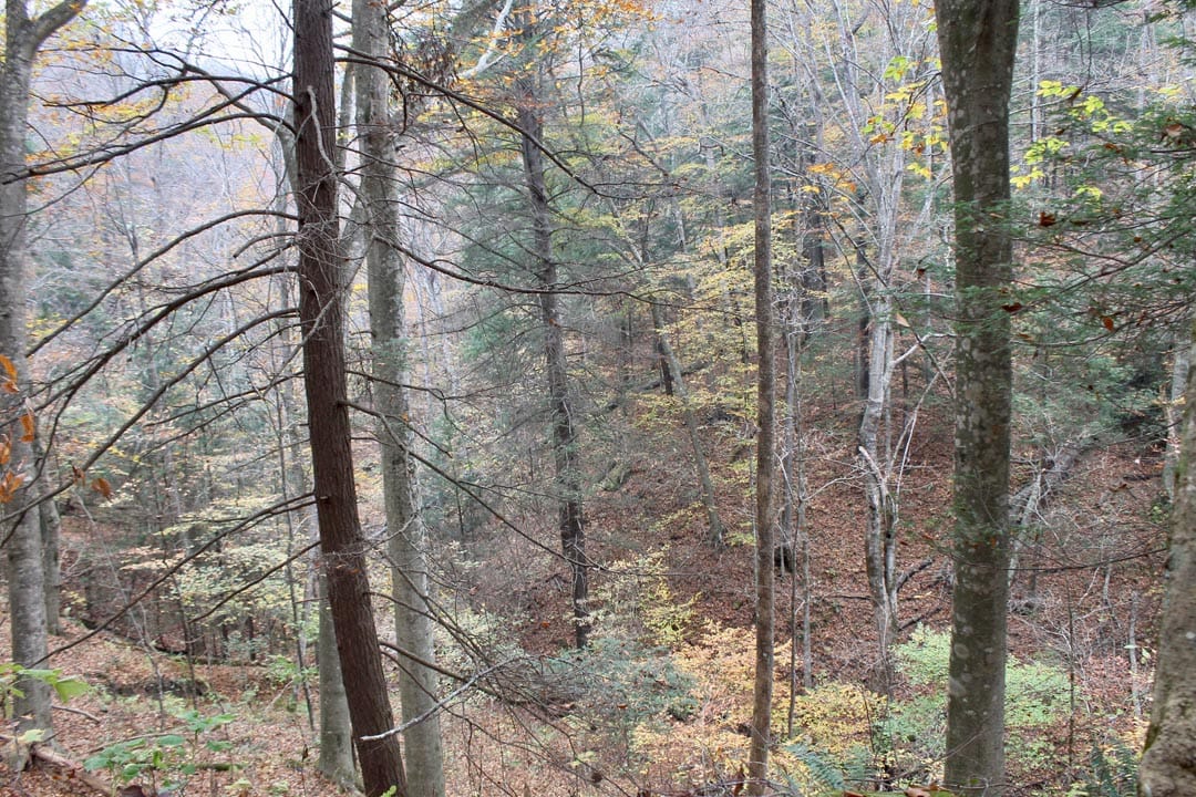 Autumn Ridge Tract 2 photo 5