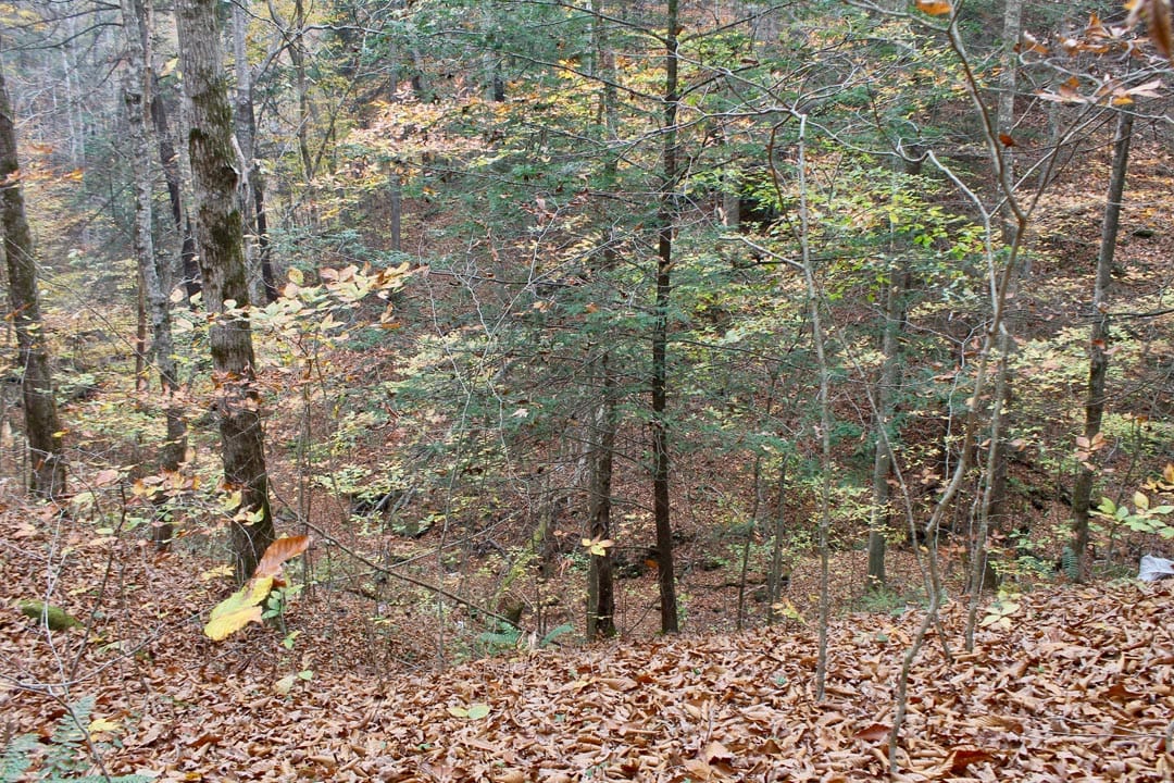 Autumn Ridge Tract 2 photo 9
