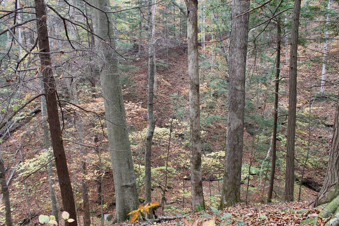 Autumn Ridge Tract 2 photo 10