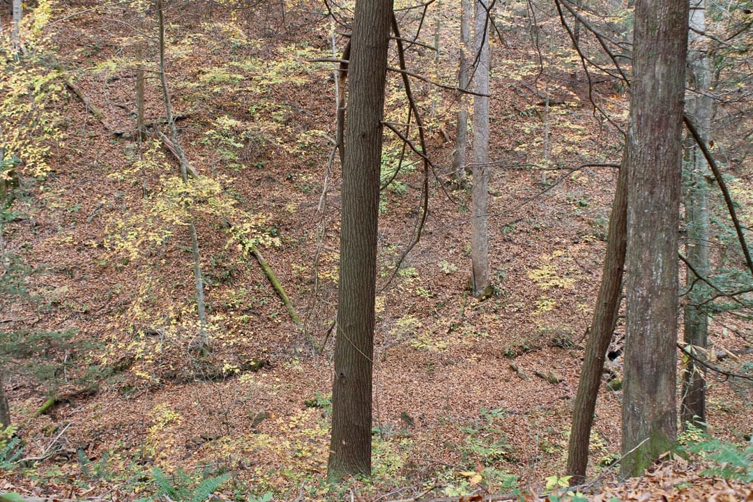 Autumn Ridge Tract 2 photo 11