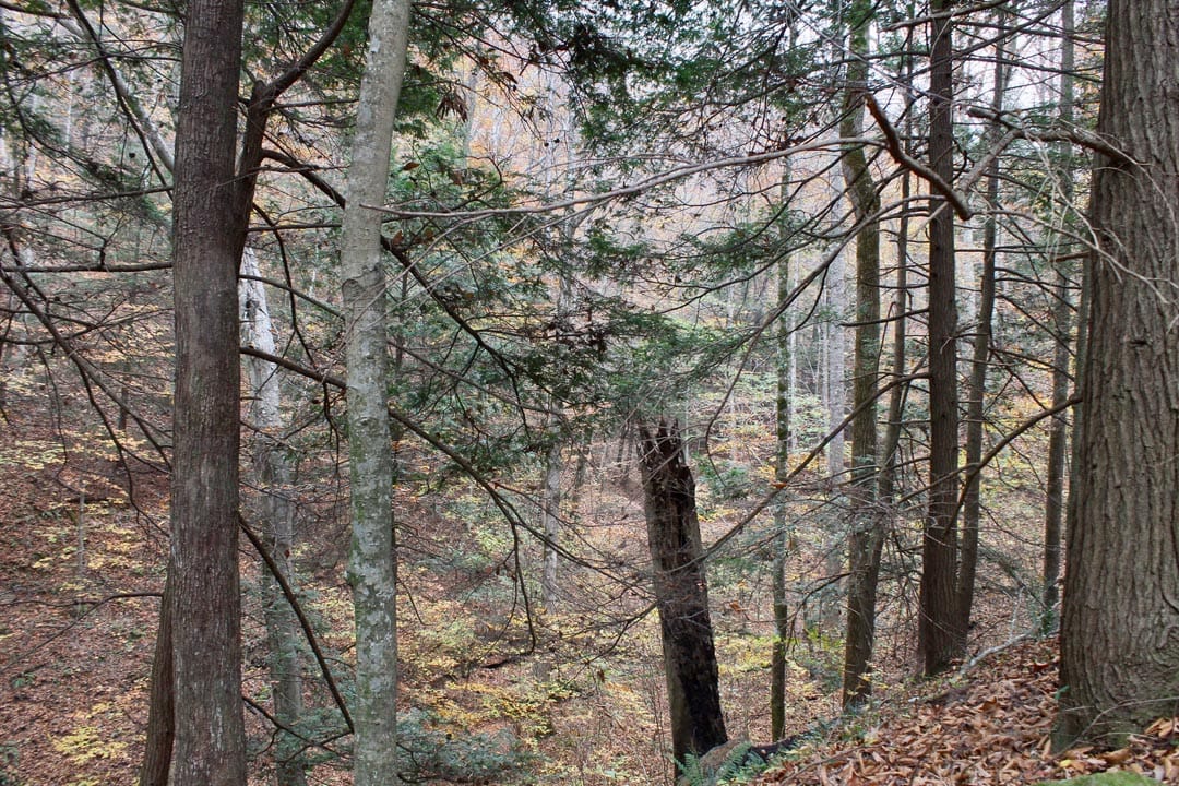 Autumn Ridge Tract 2 photo 12