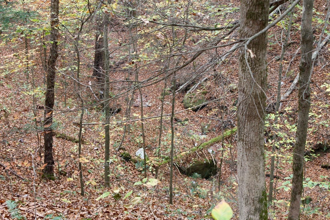 Autumn Ridge Tract 2 photo 13