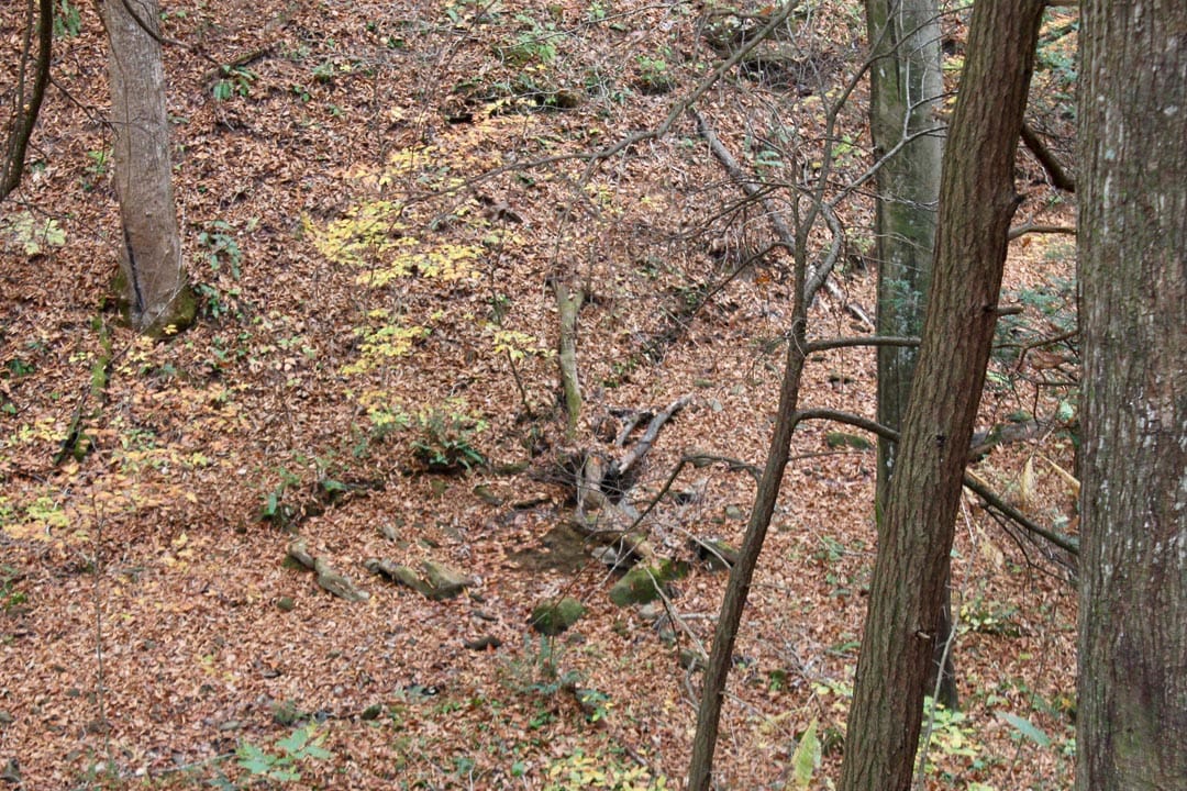 Autumn Ridge Tract 2 photo 18