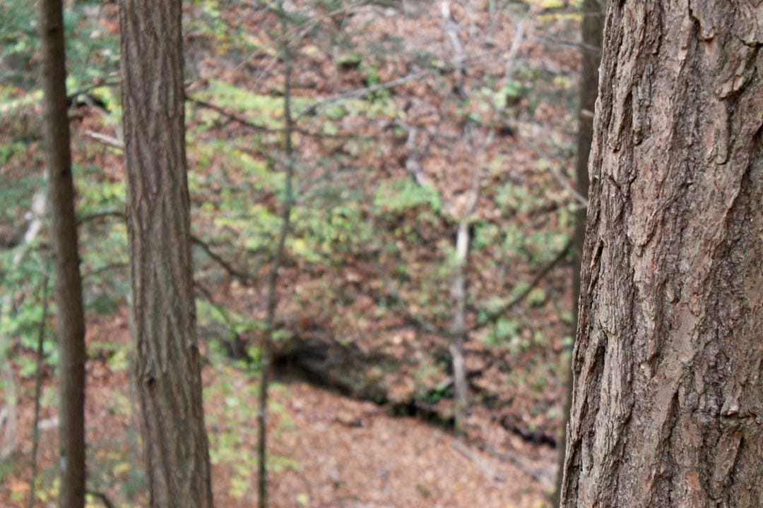Autumn Ridge Tract 2 photo 19