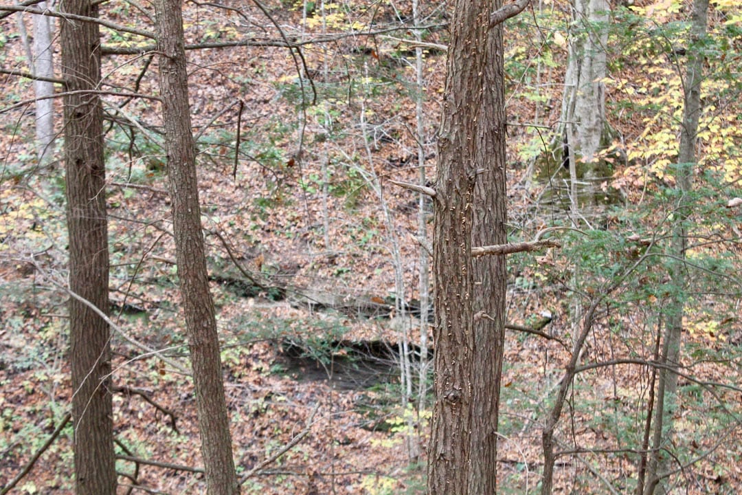 Autumn Ridge Tract 2 photo 20