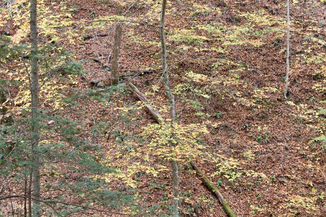 Autumn Ridge Tract 2 photo 21