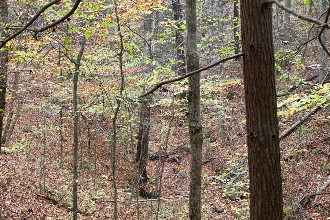 Autumn Ridge Tract 2 photo 22