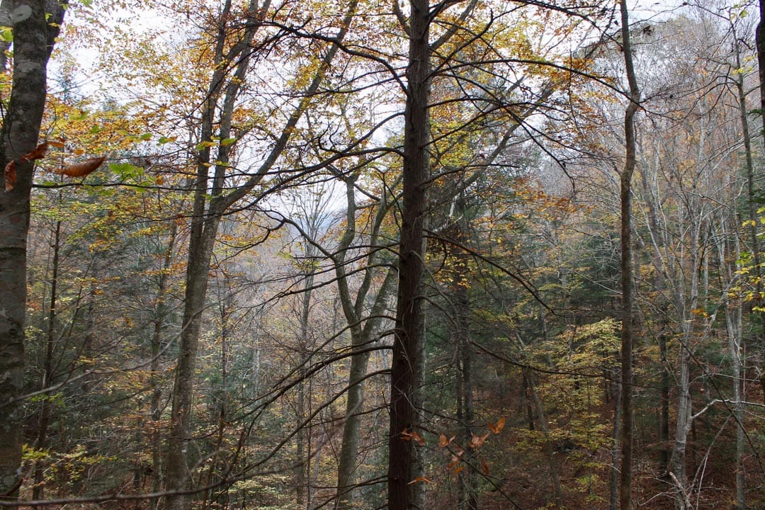 Autumn Ridge Tract 2 photo 24