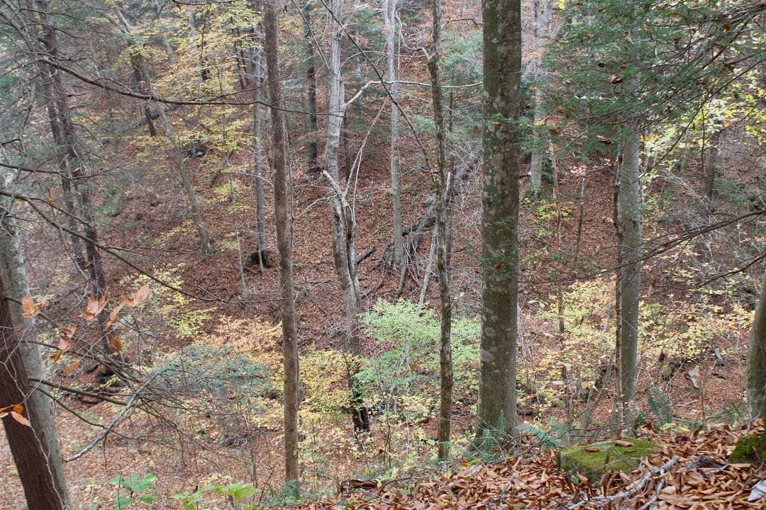 Autumn Ridge Tract 2 photo 25
